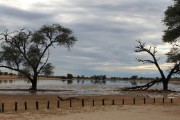 a lake near Twee Rivieren Rest Camp